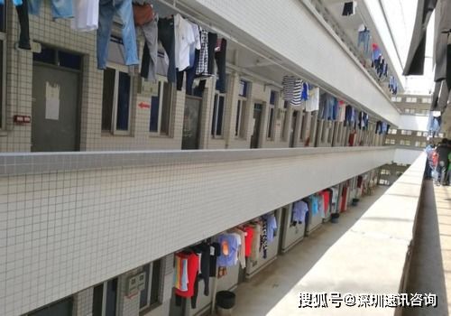 驗廠對宿舍、食堂與醫療的要求全解析 掌握標準，輕松通過住宿服務審核